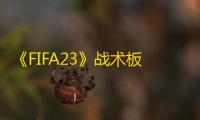 《FIFA23》战术板详细攻略 FIFA23战术板推荐